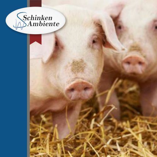 Herstellung Qualitaetsgedabke